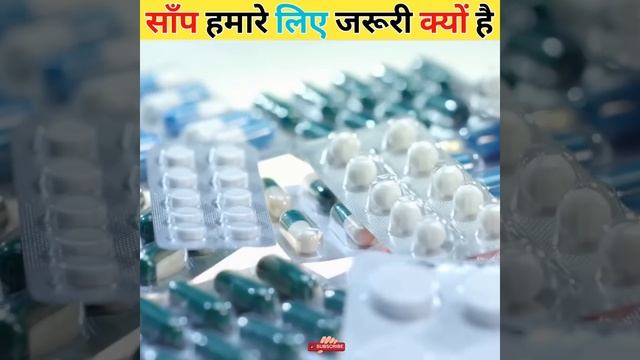 OMG साँप हमारे लिए इतना जरूरी है || Why snake is important in our life? #shorts смотреть онлайн