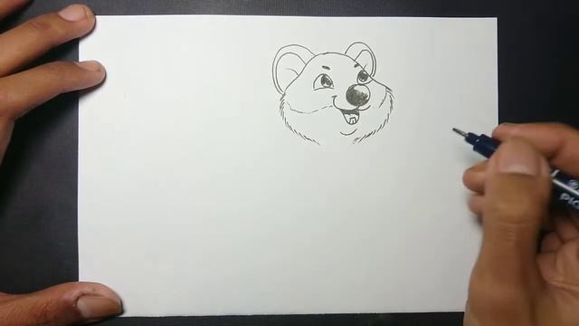How to Draw a Quokka Easy Step by Step смотреть онлайн