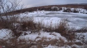 Охота на зайца с гончими класика. Сезон 2024-2025 #213