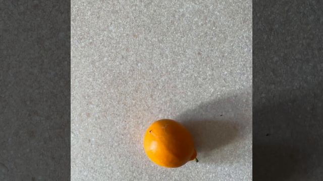 ПП Шаурма. Shawarma. Healthy Kebab смотреть онлайн