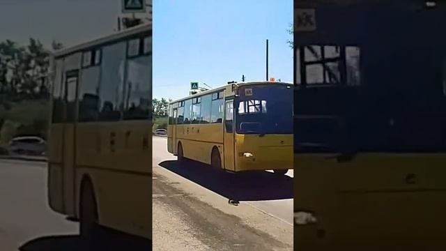 Злой водитель КАвЗА-4238 дети. #2023 #shorts смотреть онлайн