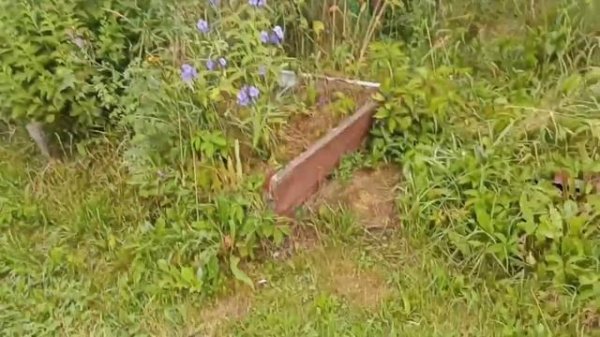 ЯСТРЕБ АТАКУЕТ