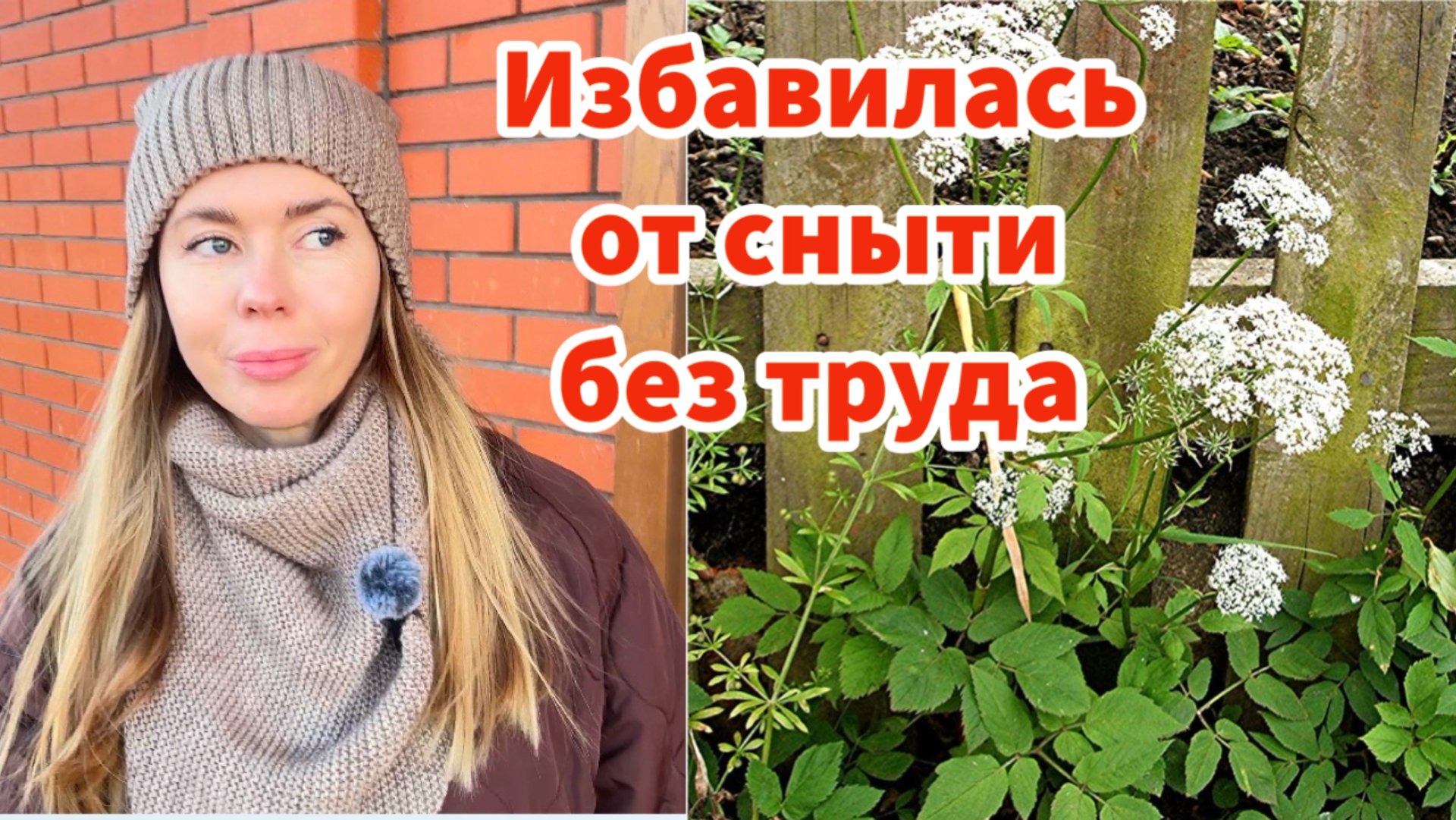Сделала один раз и сныти не было весь сезон. Как избавиться от злостных сорняков смотреть онлайн
