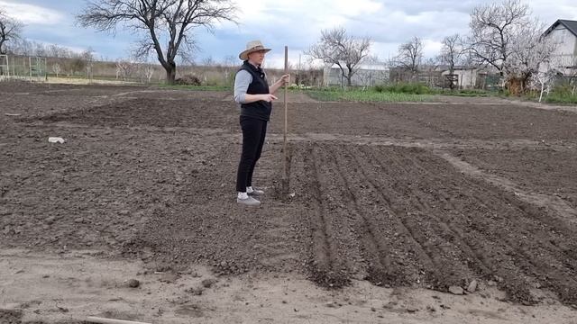 Сею морковь в огороде, Надеюсь на хороший урожай, Испугалась за холодильник! Мой огород 20 соток смотреть онлайн