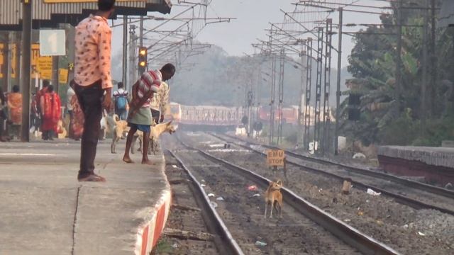 Aerodynamic face EMU local train parallel crossing with Howrah Malda INTERCITY Express смотреть онлайн