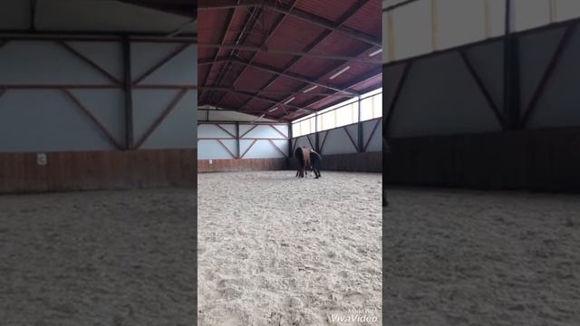 Fun with Grizzly track смотреть онлайн