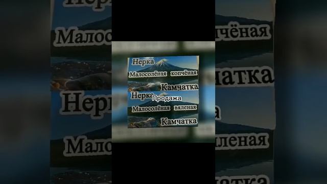 продажа нерки г.Казань звонить по телефону 7+ 919 692 04 44 #реки смотреть онлайн