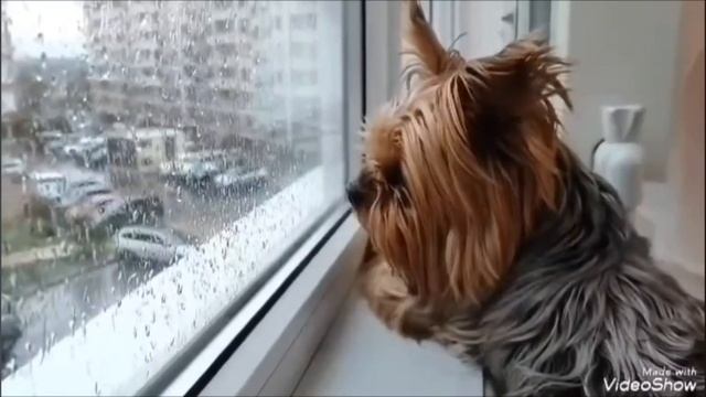 У природы нет плохой погоды❤️ смотреть онлайн
