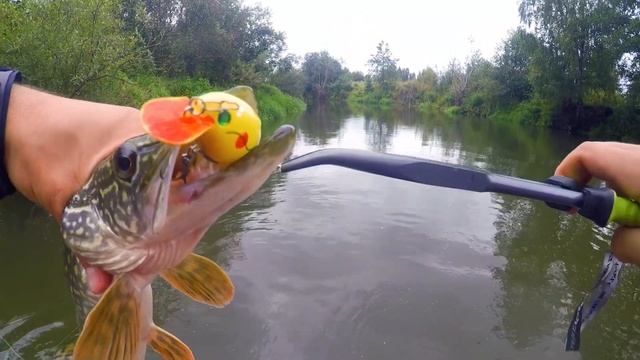 Вторая серия щучьего сплава на малой реке