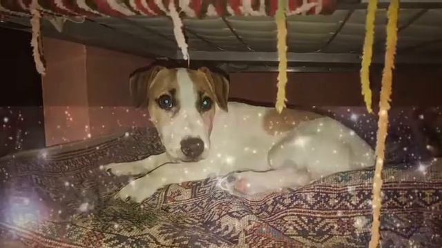 Первое видео! смотреть онлайн