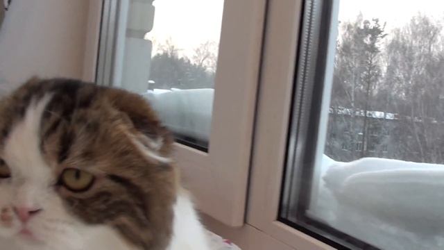 00165 смотреть онлайн