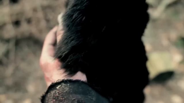 Kapitan Korsakov - Sylvie (music video) смотреть онлайн