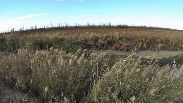 Стрельба уток техникой на проходе (обгоне). смотреть онлайн