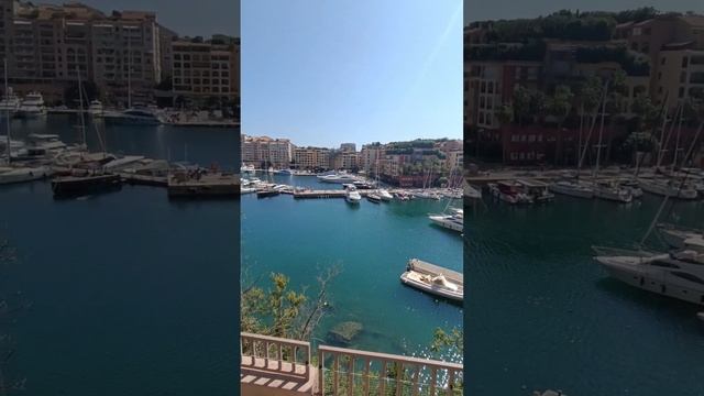 Коллекция частных автомобилей Принца Монако и Сад животных #Teona2107 смотреть онлайн