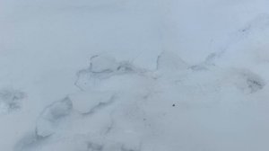 Зимовка пчёл в сарае 10.01.2025