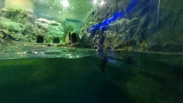 𝐖𝐡𝐚𝐭 𝐈 𝐝𝐢𝐝 𝐢𝐧 𝟐𝟎𝟐𝟑: Valentine's Day, 2nd Wedding Anniversary, B-day, Christmas