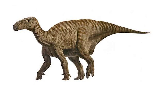 Iguanodon Sounds смотреть онлайн