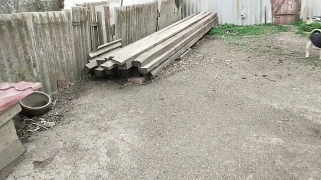 среда - день посадок смотреть онлайн