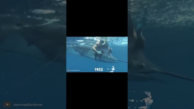 Невероятный УЛОВ Рыбака #shorts смотреть онлайн