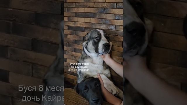 31 июля 2024 г. смотреть онлайн