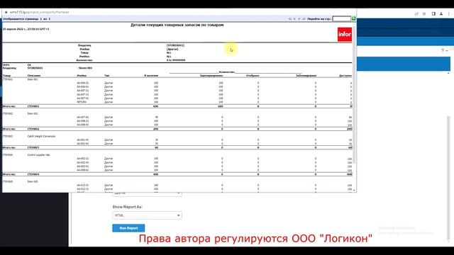 Базовые отчеты / Basic Reports Infor WMS 11 смотреть онлайн