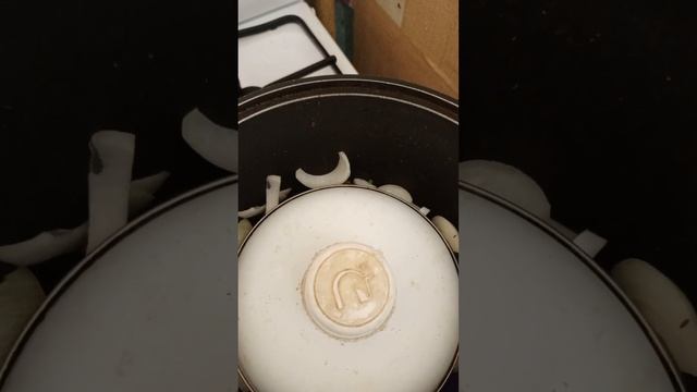 #бараньи рёбра с луком смотреть онлайн