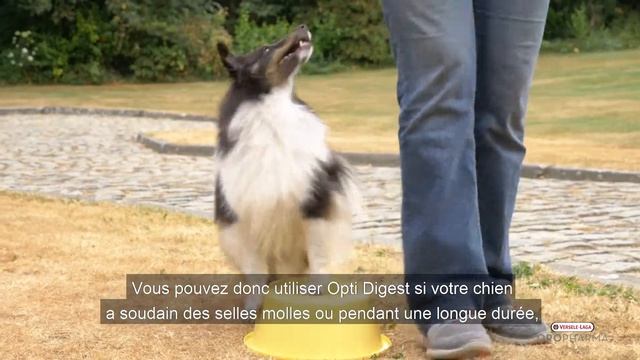 Oropharma Opti Digest (français) смотреть онлайн