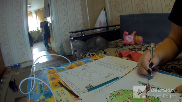 ВЛОГ Кто же у нас весь день делает уроки?/ Дакки и Сима)))/ Дакки, ты же еще маленький, а уже.... смотреть онлайн