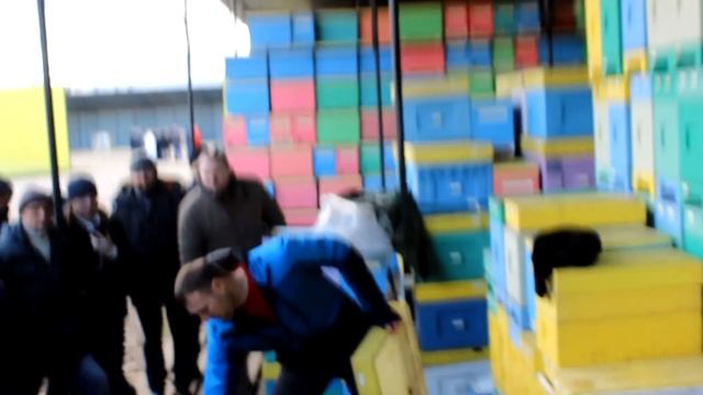 На промышленной пасеке Морозова