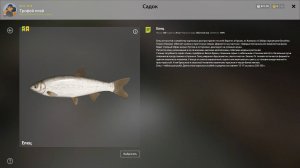 русская рыбалка 4 - река белая...ЕЛЕЦ ТРОФЕЙНЫЙ