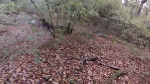 Удар в бороду