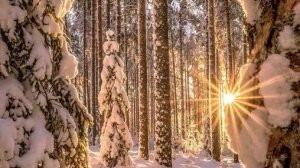 Желаю доброго утра и прекрасного дня! Открытка музыкальная с пожеланиями.