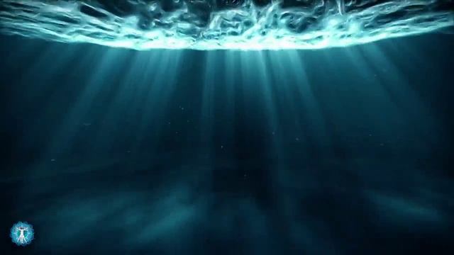 ⋆༺𓆩Д ᧐ ɸ ᥲ ʍ ᥙ н . Э н д ᧐ ρ ɸ ᥙ н . С ᥱ ρ ᧐ ᴛ ᧐ н ᥙ н𓆪༻⋆ смотреть онлайн