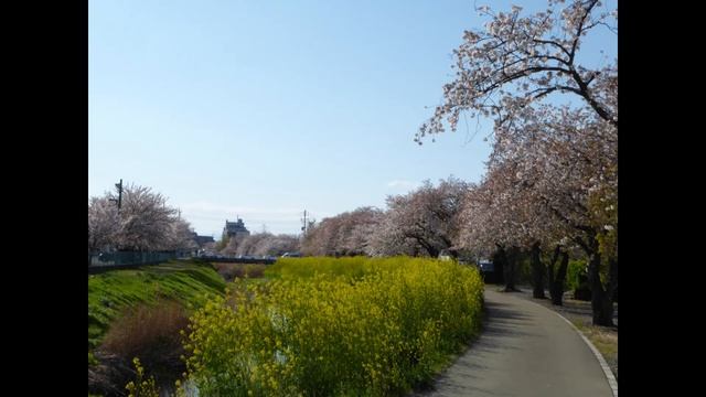 寒いんです　寒波が来てますから смотреть онлайн