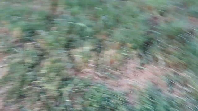 Дорога от поля до дома смотреть онлайн