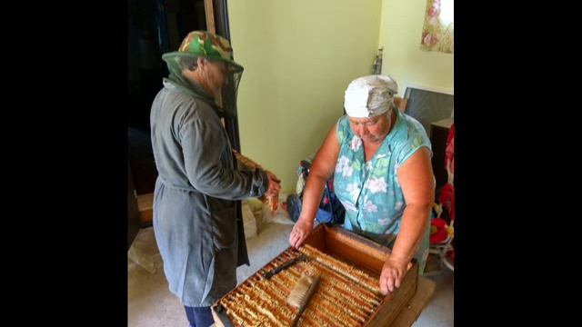 Качаем мёд смотреть онлайн