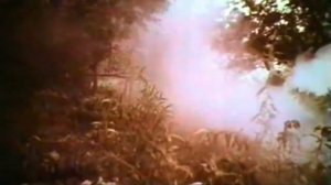 Выживание в автономных условиях