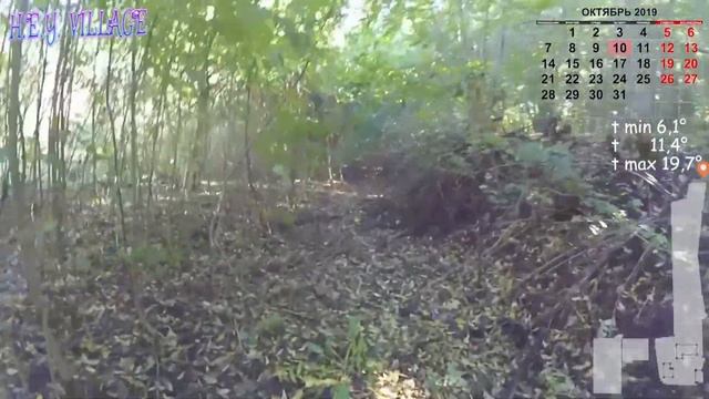 Выкопал картошку смотреть онлайн