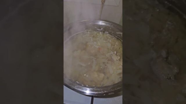 Ролик № 1527. Щи из свежей капусты в моём исполнении. смотреть онлайн