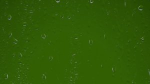 зеленые экраны на телефонах телевизорах и компьютерах 5+ разное