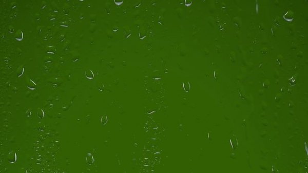 зеленые экраны на телефонах телевизорах и компьютерах 5+ разное