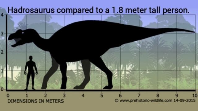 Hadrosaurus ,Que fué??, Que era??, BIBLIOTECASAURUS📜. смотреть онлайн