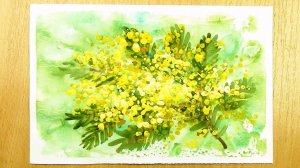 Как нарисовать Мимозу легко, поэтапно, гуашью. Нетрадиционное рисование цветов для начинающих.