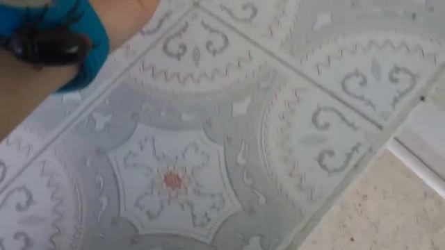 Un escarabajo rinoceronte parte 2 смотреть онлайн