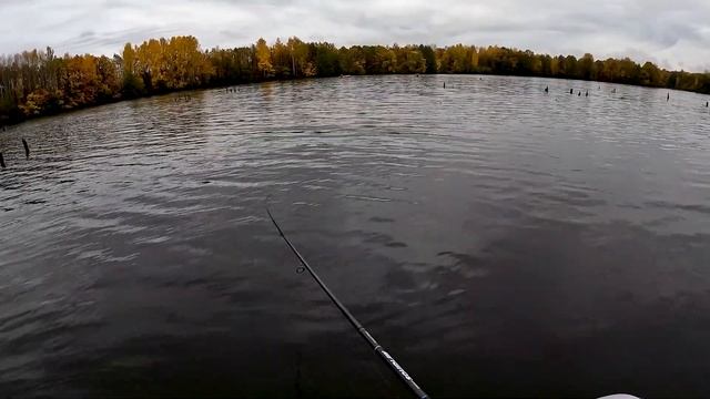 Осень на средней Волге в Щукино