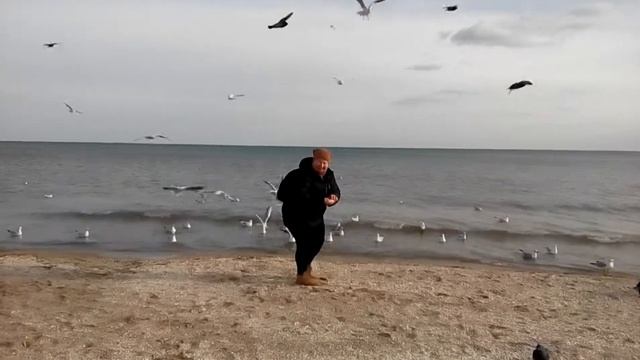 Одесса... Море... Чайки... 21.02.2018 ))) смотреть онлайн