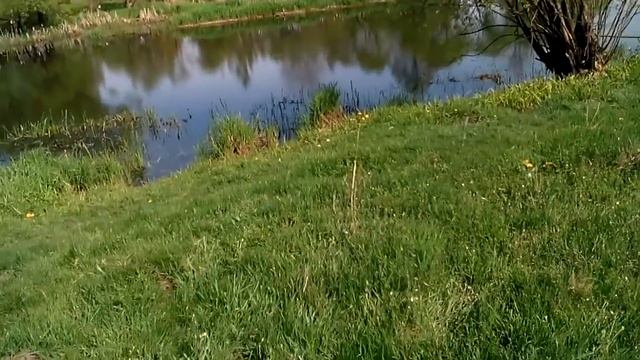 Прдводная охота.р.Уж смотреть онлайн