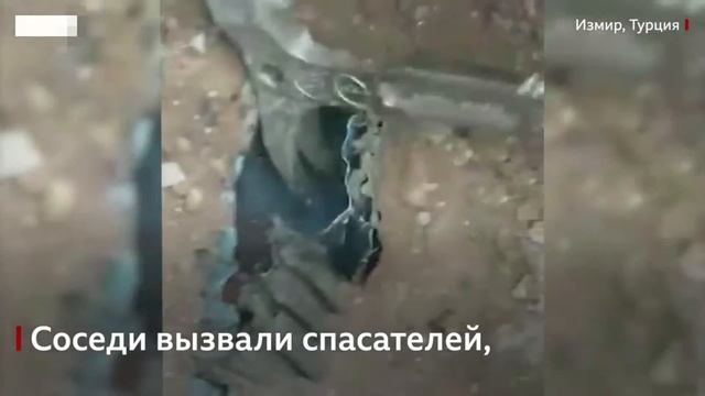 Спасения животных happy end Будем добрее смотреть онлайн