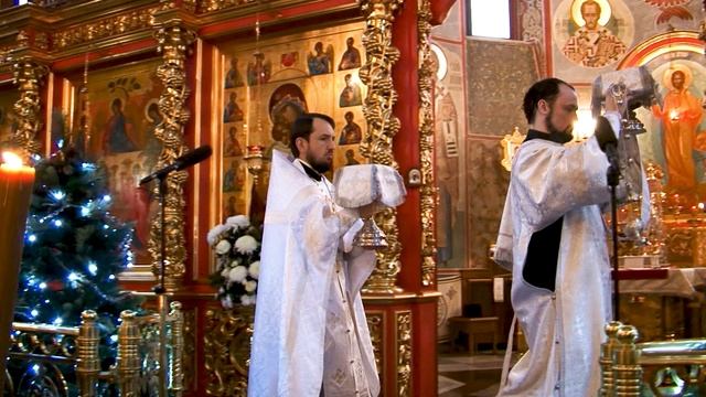 Рождество Христово. Херувимская песнь: Иже херувимы. В исполении детского хора "Радовесть". 2025 г. смотреть онлайн