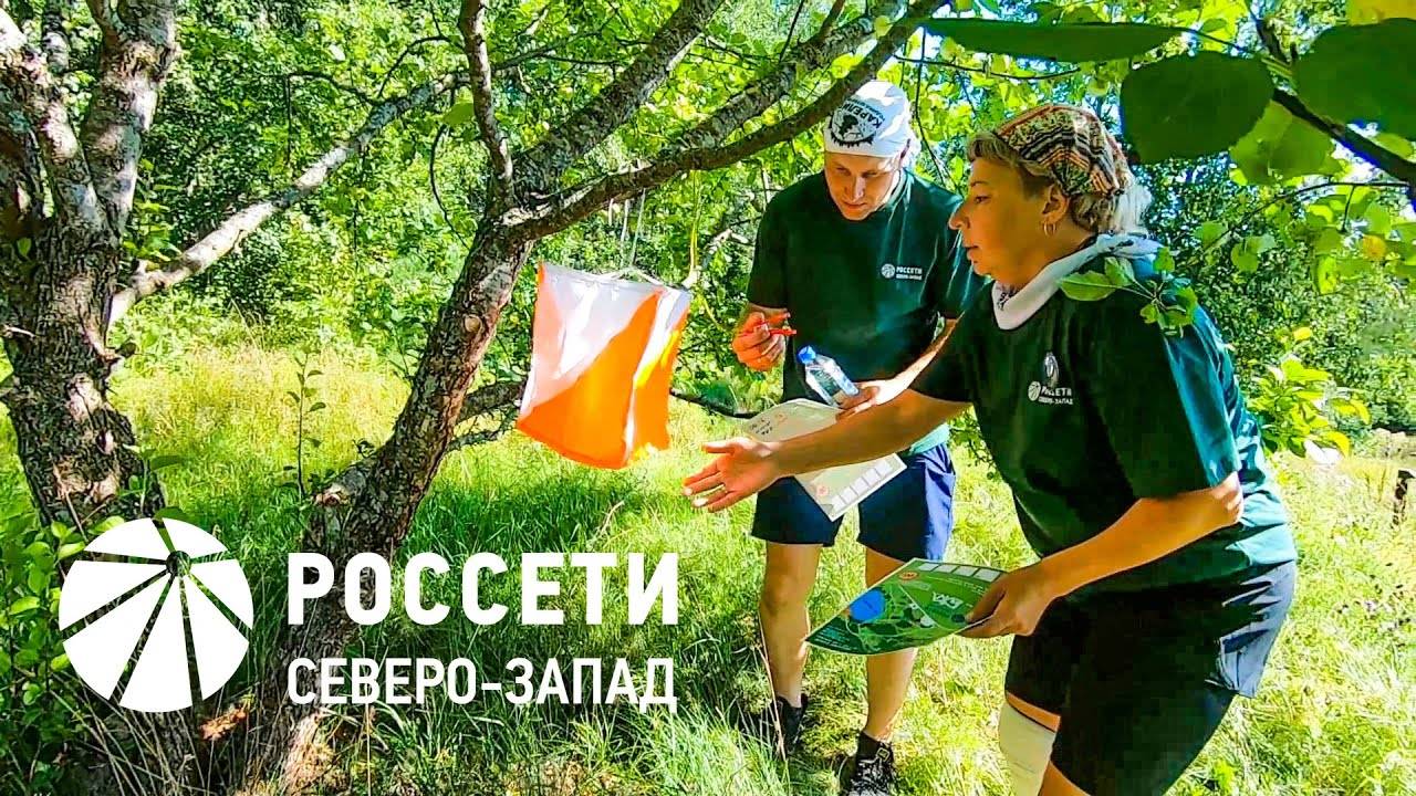 DG Orienteering • ТурСлёт - РосСети •